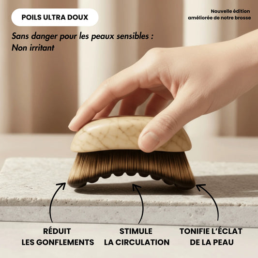 Brosse Sculptante & Drainage Lymphatique